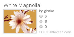 White_Magnolia
