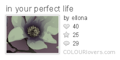 in_your_perfect_life