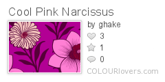 Cool_Pink_Narcissus