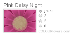 Pink_Daisy_Night