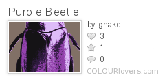 Purple_Beetle