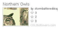 Northern_Owls