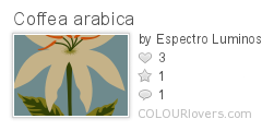Coffea_arabica