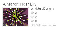 A_March_Tiger_Lily