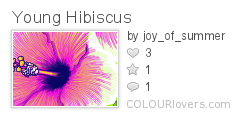 Young_Hibiscus