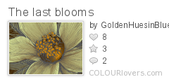 The_last_blooms