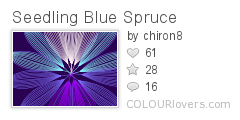Seedling_Blue_Spruce