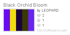 Black_Orchid_Bloom