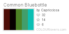 Common_Bluebottle