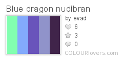 Blue dragon nudibran