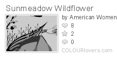Sunmeadow_Wildflower