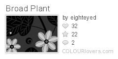 Broad_Plant