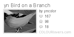 yn_Bird_on_a_Branch