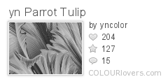 yn_Parrot_Tulip