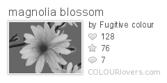 magnolia_blossom