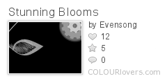 Stunning_Blooms