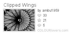 Clipped_Wings