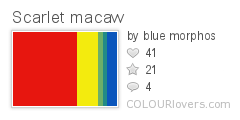 Scarlet_macaw