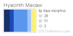 Hyacinth_Macaw
