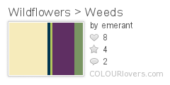 Wildflowers_Weeds