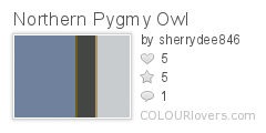 Northern Pygmy Owl