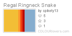 Regal Ringneck Snake