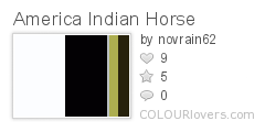 America Indian Horse