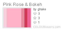 Pink Rose & Bokeh