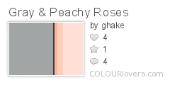 Gray & Peachy Roses