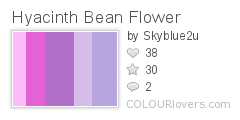 Hyacinth Bean Flower