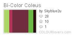Bi-Color_Coleus