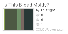 Is_This_Bread_Moldy