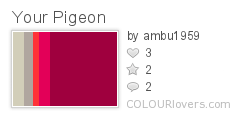 Your_Pigeon