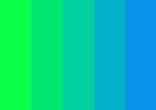 Coloured_Dividers_4.png