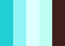 Chocolate_Mint.png