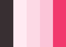 Victoria Secret Color Chart