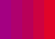 Coloured_Dividers_1.png