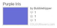 Purple_Iris