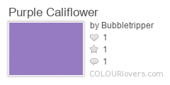 Purple_Califlower