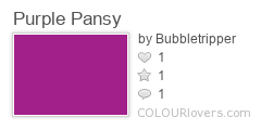 Purple_Pansy