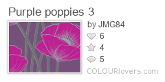 Purple_poppies_3