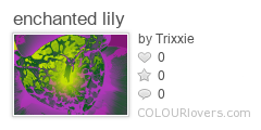 enchanted_lily