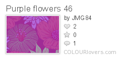 Purple_flowers_46