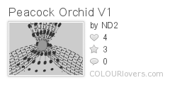 Peacock_Orchid_V1