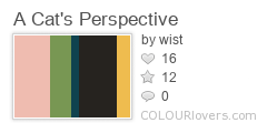 A_Cats_Perspective