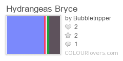 Hydrangeas_Bryce